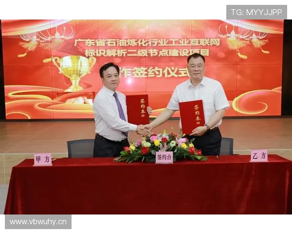 双人项目快讯：最新动态与合作成果解析